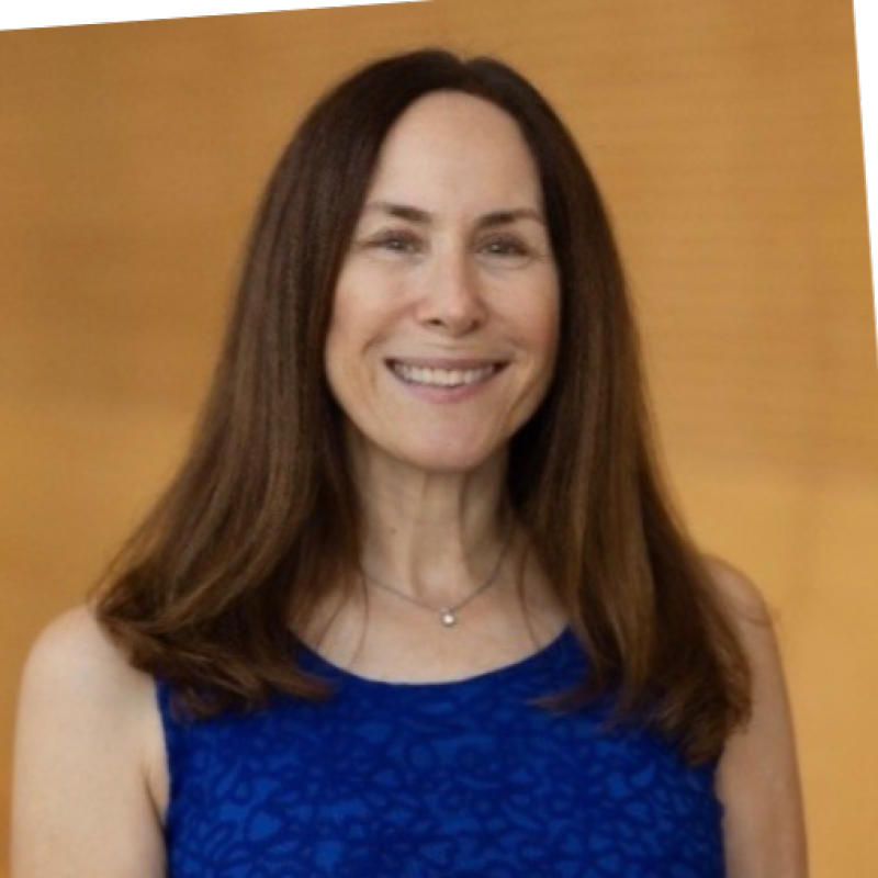Dr. Alisa Rubin